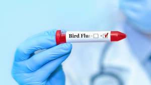 Finlandia Menjadi Negara Pertama yang Siapkan Vaksin Flu Burung untuk Warganya