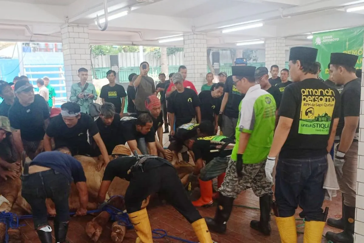 Masjid Istiqlal Bagikan Daging Hewan Kurban Kepada 25 Ribu Warga Jabodetabek