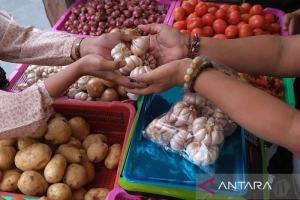 Bapanas Catat Harga Pangan Beras-Bawang Dan Cabai Hingga Minyak Alami Fluktuatif