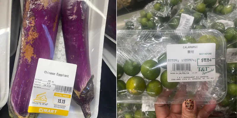 Harga Cabe dan Terong di Kanada Bikin Terkejut