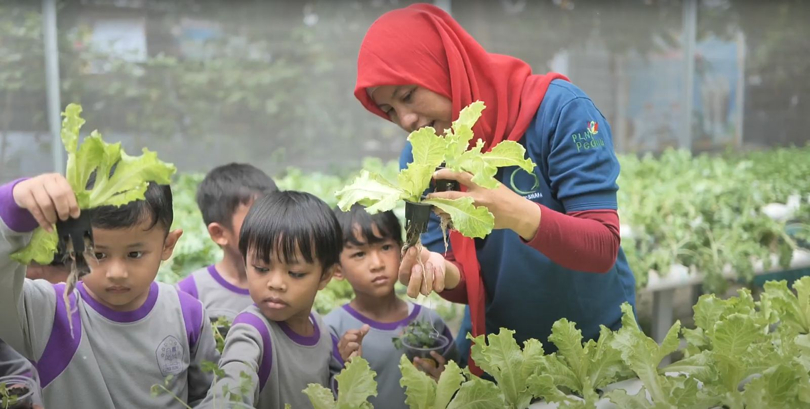 Edufarm Malakasari: Transformasi Lahan Kota Menjadi Oase Pendidikan