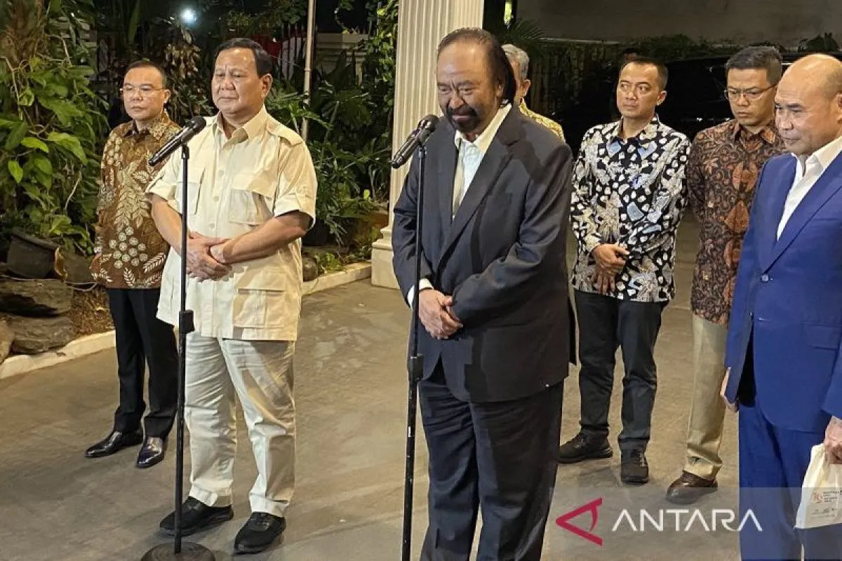 Surya Paloh: Pak Anies, Ini Bukan Momen Anda Maju di Pilkada Jakarta