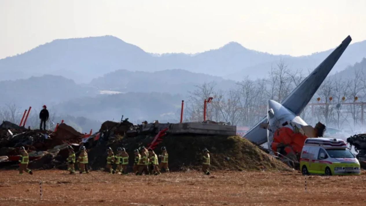 Puluhan Penumpang Tewas Jeju Air Sebagian Besar Ditemukan di Ekor Pesawat